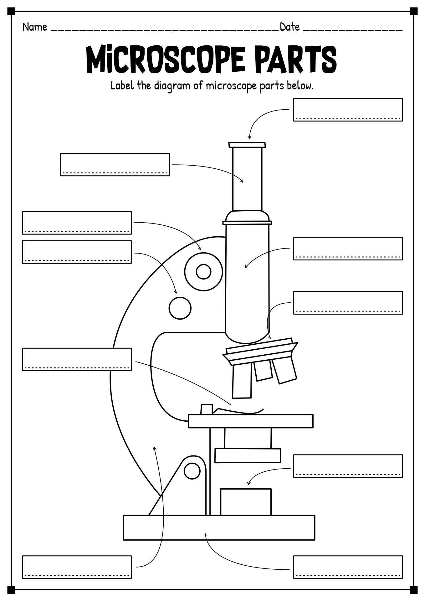 15 Printable Microscope Worksheet Free PDF At Worksheeto