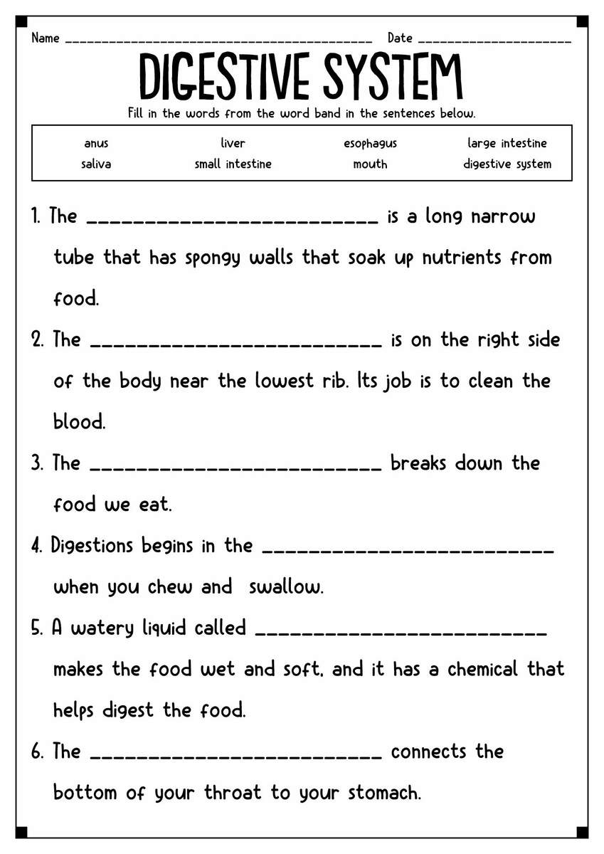 15 Simple Circuit Worksheets 4th Grade Free PDF At Worksheeto 15 Simple Circuit Worksheets 4th Grade Free PDF At Worksheeto