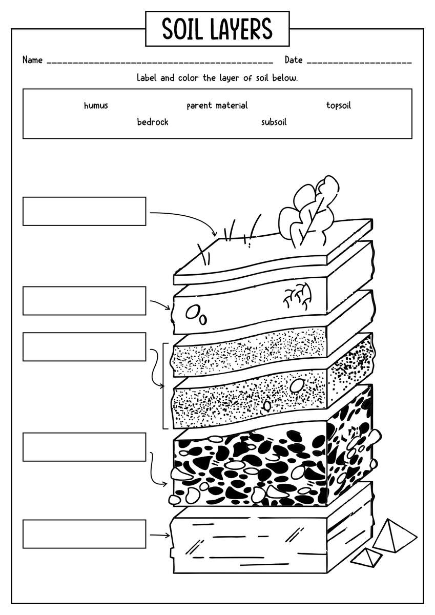 15 Worksheets On Layers Of Soil Free PDF At Worksheeto Worksheets Library 15 Worksheets On Layers Of Soil Free PDF At Worksheeto Worksheets Library
