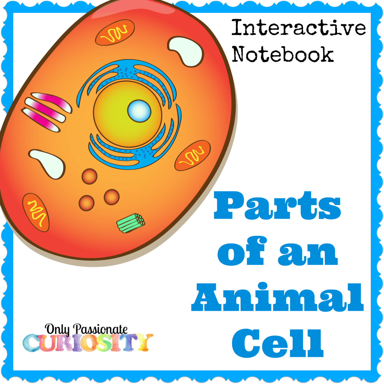 Animal Cell Interactive Notebook Only Passionate Curiosity Animal Cell Interactive Notebook Only Passionate Curiosity