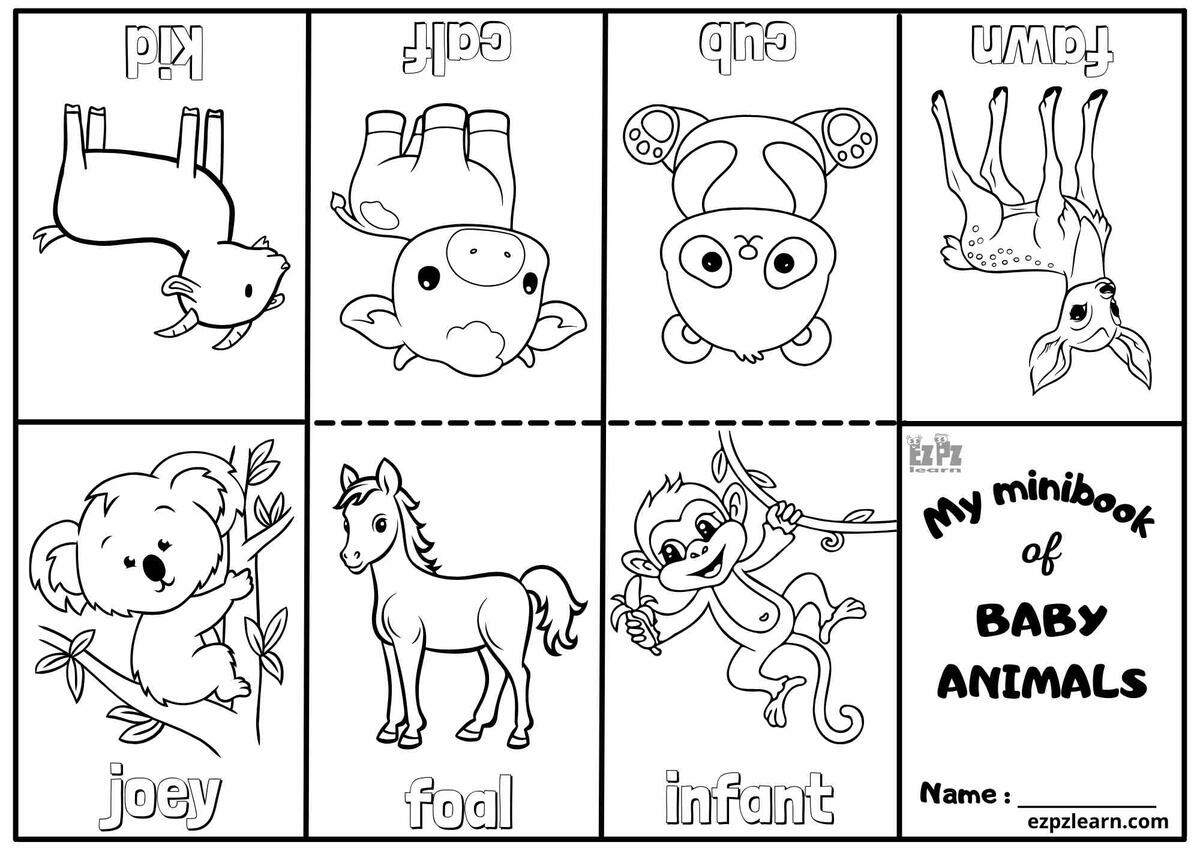 Baby Animals Vocabulary Mini Coloring Book For Kindergarten And English Language Learners Number 2 Ezpzlearn Baby Animals Vocabulary Mini Coloring Book For Kindergarten And English Language Learners Number 2 Ezpzlearn