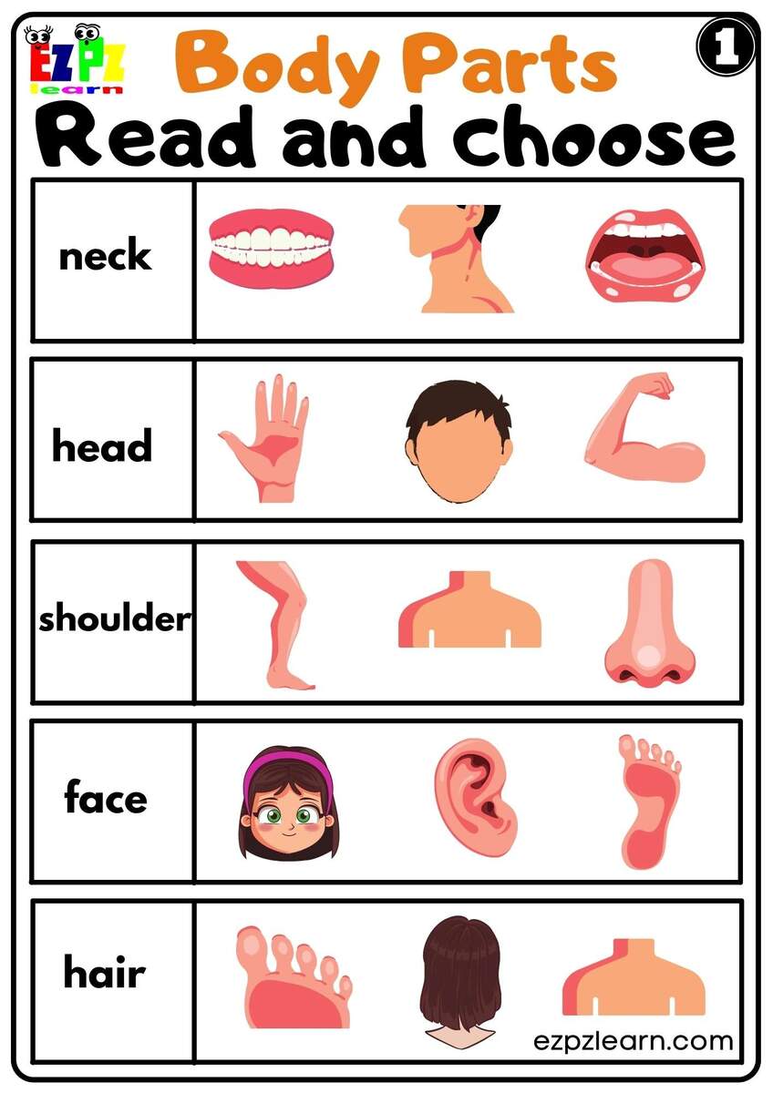 Body Parts Read And Choose Worksheets For Kids And ESL PDF Download Set 1 Ezpzlearn Free Printable Body Parts Word Recognition Worksheet For Preschool