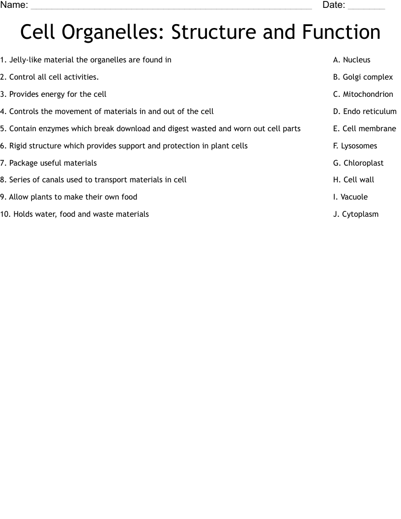 Cell Organelles Structure And Function Worksheet WordMint Cell Organelles Structure And Function Worksheet WordMint