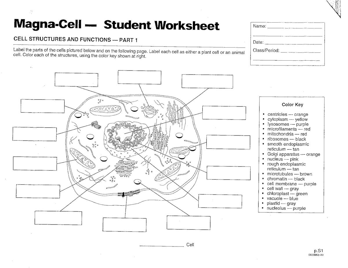 Cells Mrs Musto 7th Grade Life Science Cells Mrs Musto 7th Grade Life Science