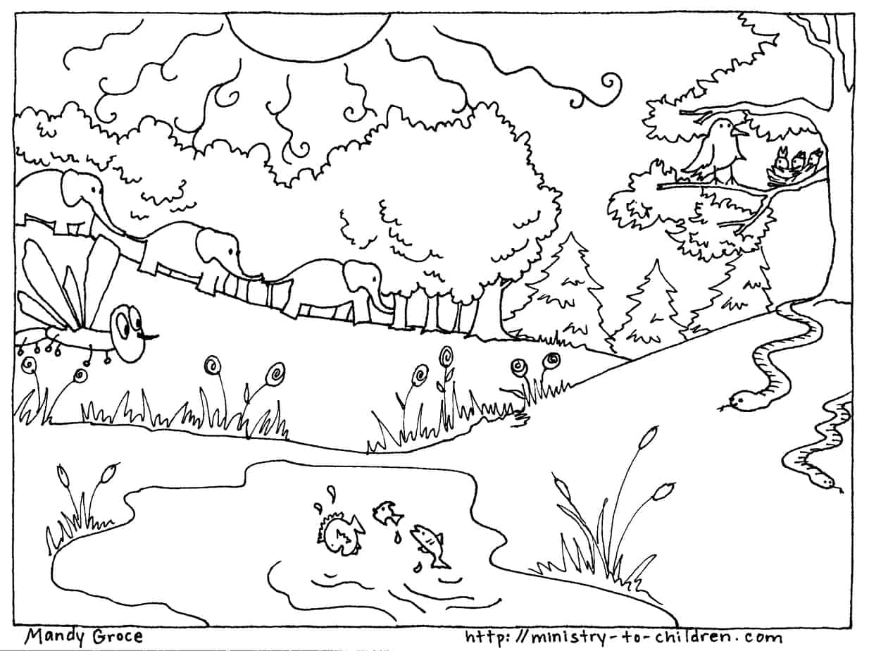 Creation Coloring Pages God Made The Animals Fish Birds Creation Coloring Pages God Made The Animals Fish Birds