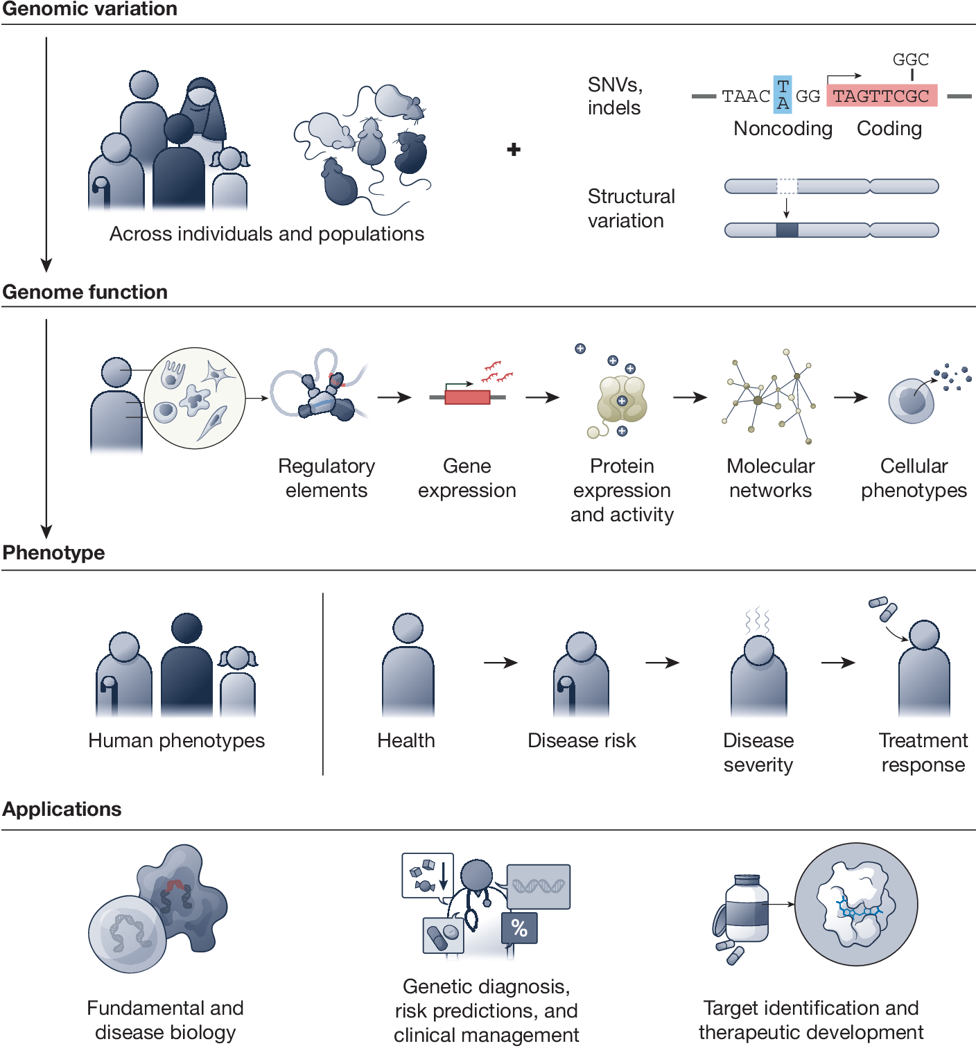 Deciphering The Impact Of Genomic Variation On Function Nature