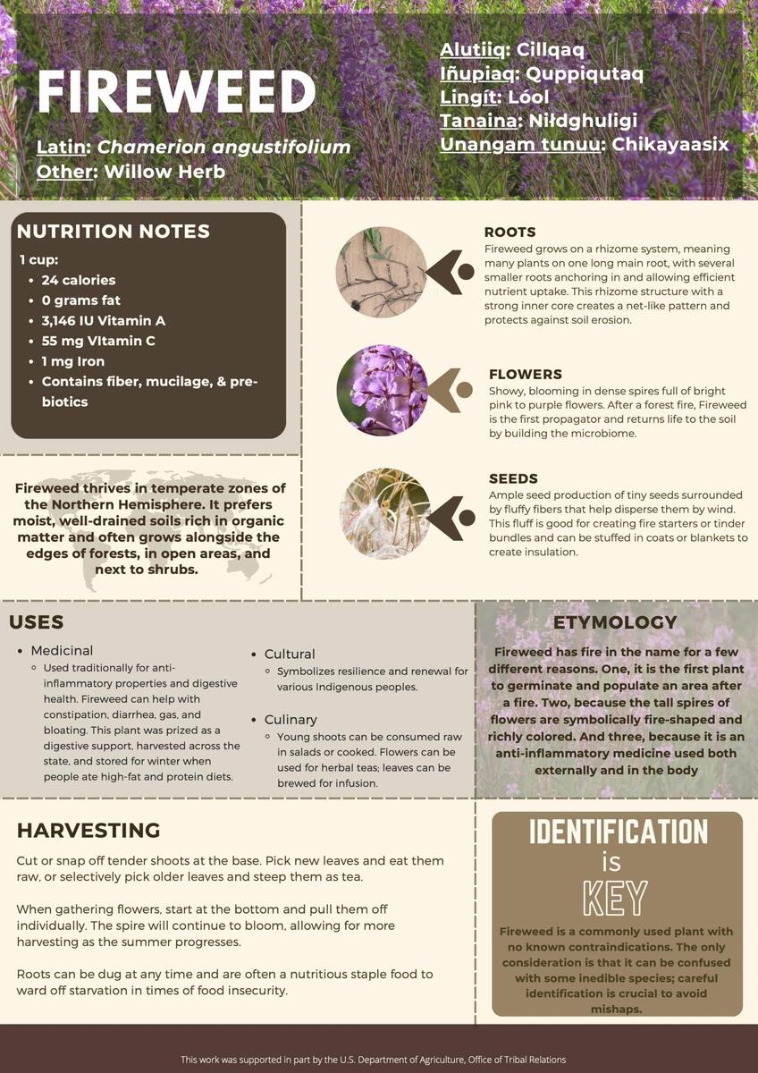 Fireweed NATIFS