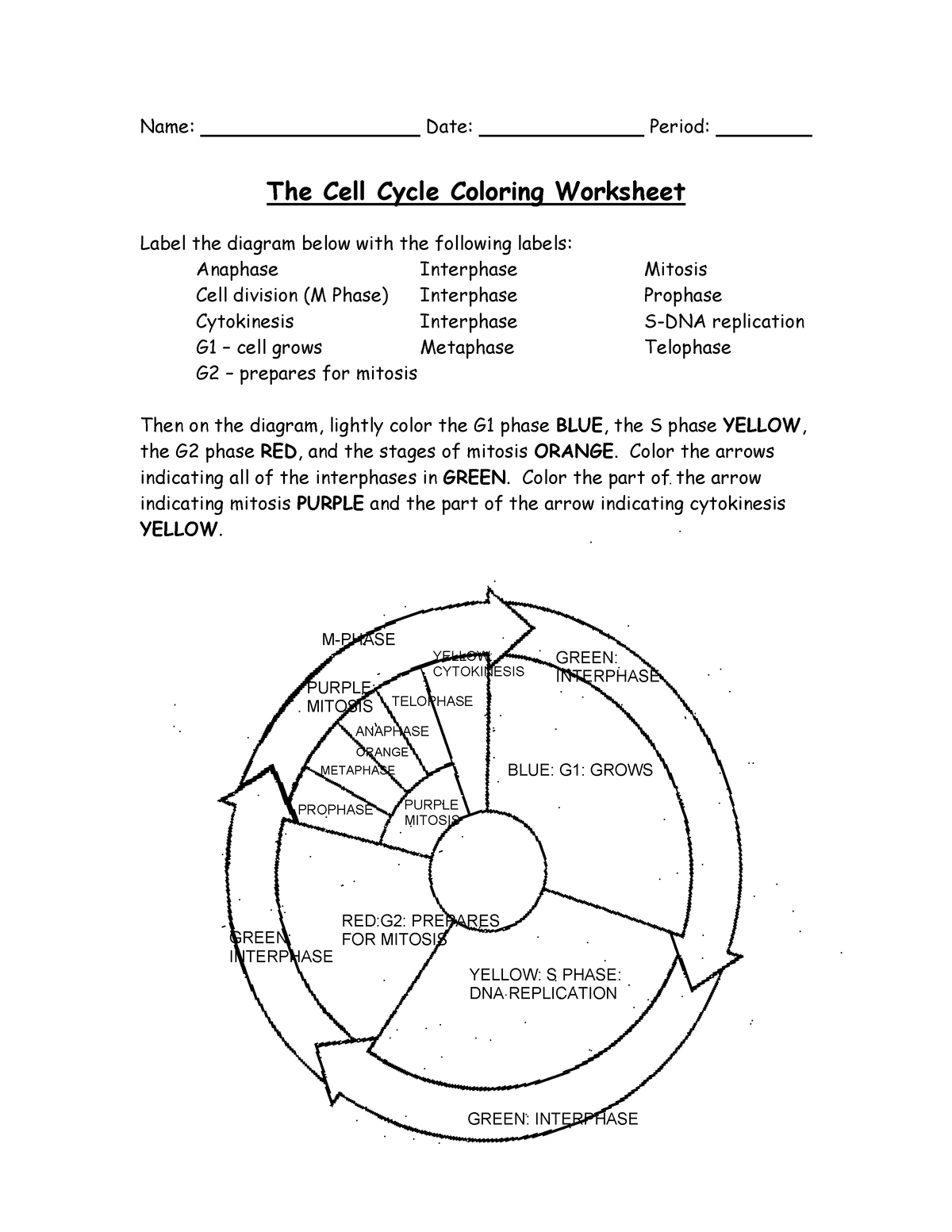 Free Phases Of The Cell Cycle Worksheet Download Free Phases Of The Cell Cycle Worksheet Png Images Free Worksheets On Clipart Library Free Phases Of The Cell Cycle Worksheet Download Free Phases Of The Cell Cycle Worksheet Png Images Free Worksheets On Clipart Library