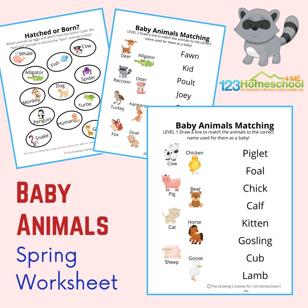 Animals And Their Babies Worksheet Free Printable Digital PDF