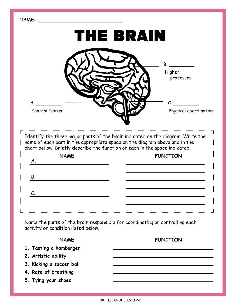 Grade 6 Science Interactive Worksheet Worksheets Library