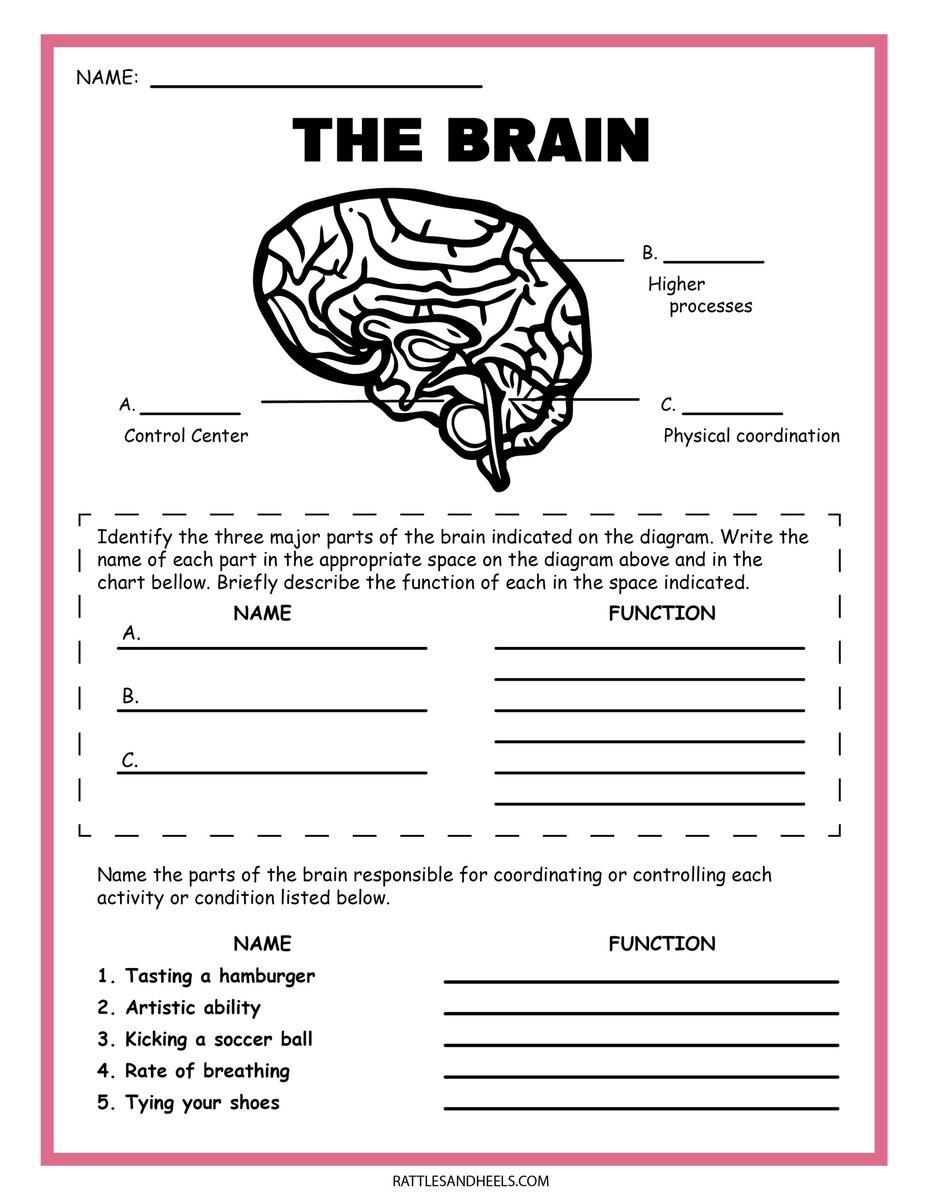Grade 5 SOCIAL SCIENCE Worksheets Kamalinee Primary School Worksheets Library