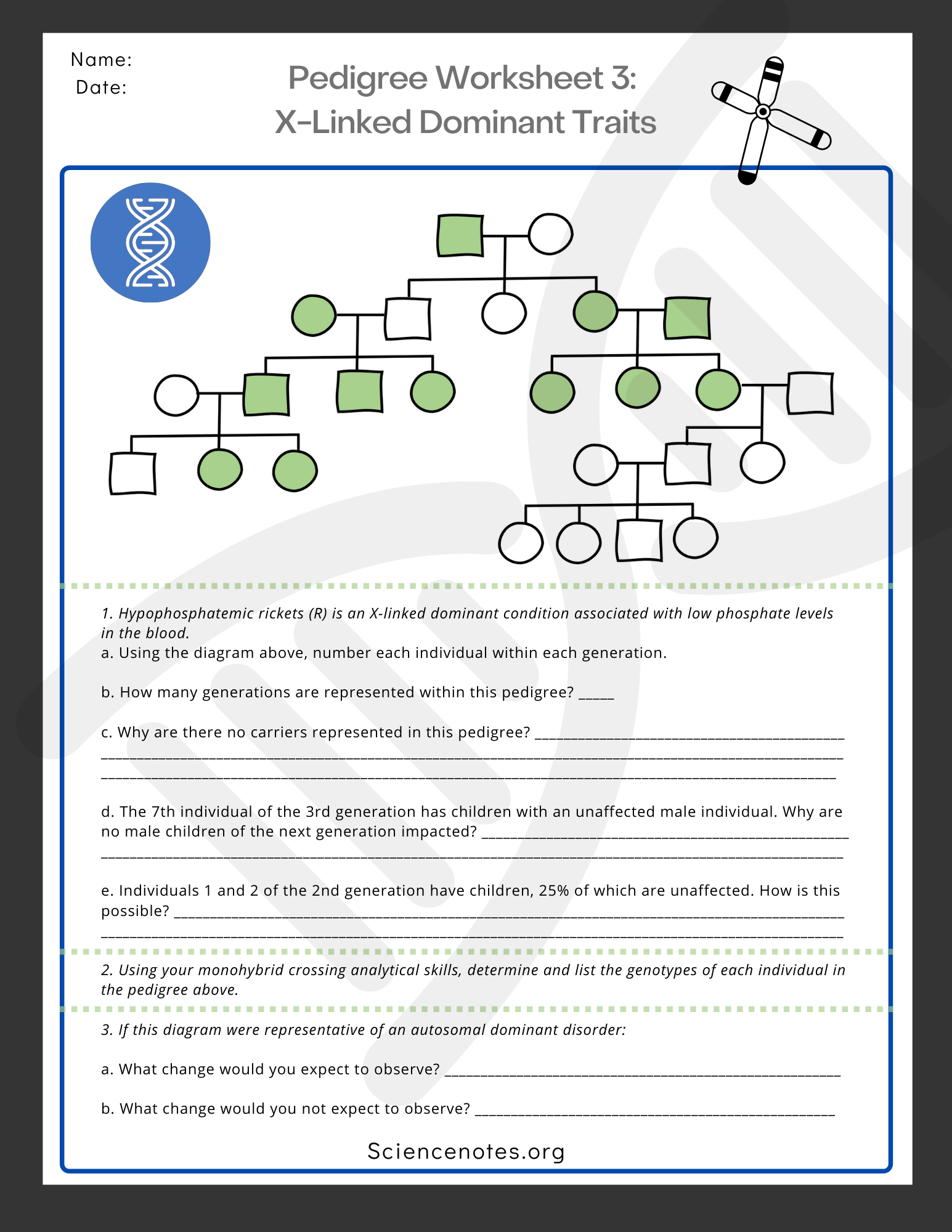 Genetics Worksheets And Printables Genetics Worksheets And Printables