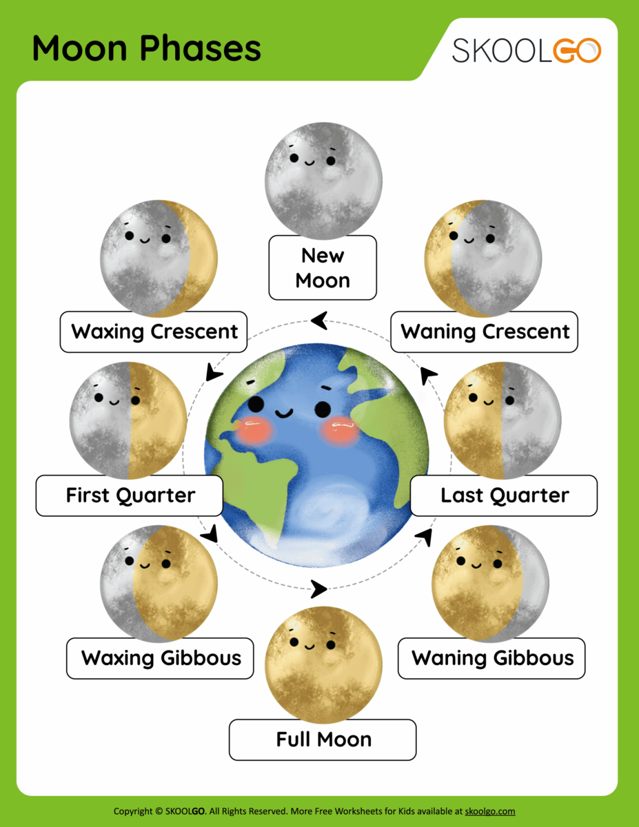 Moon Phases Free Worksheet SKOOLGO
