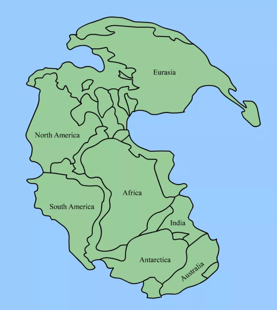 Pangea Puzzle For Educators Hands On Geography Activity Make A Pangaea Puzzle