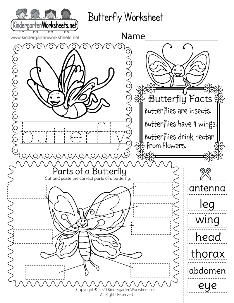 Parts Of A Butterfly Worksheet Free Printable Digital PDF Free Printable Life Cycle Of A Butterfly Worksheet