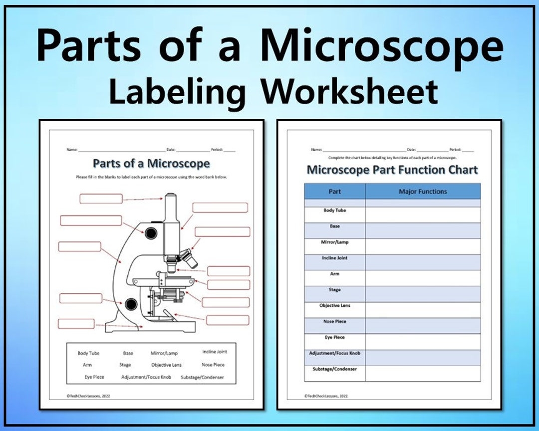 15 Printable Microscope Worksheet Free PDF At Worksheeto