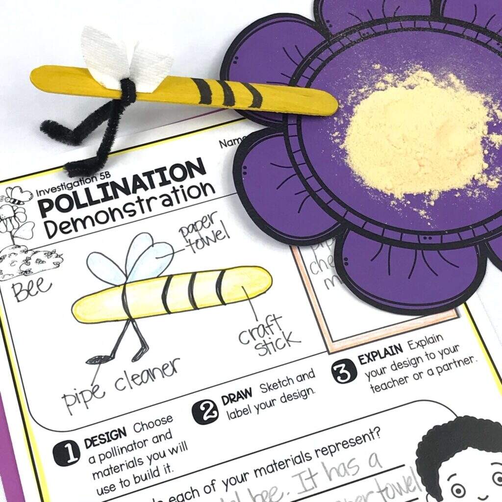 Pollination STEM Activity Around The Kampfire Pollination STEM Activity Around The Kampfire