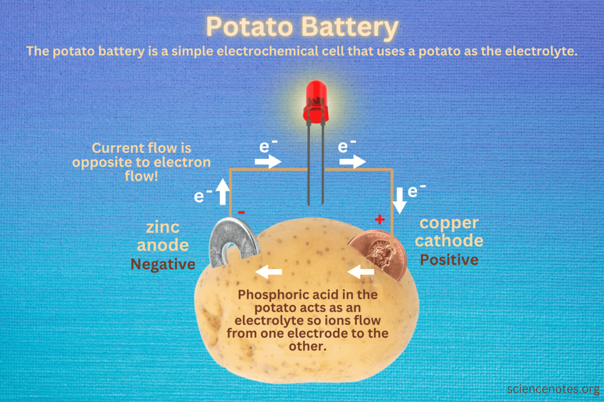 Potato Battery Experiment
