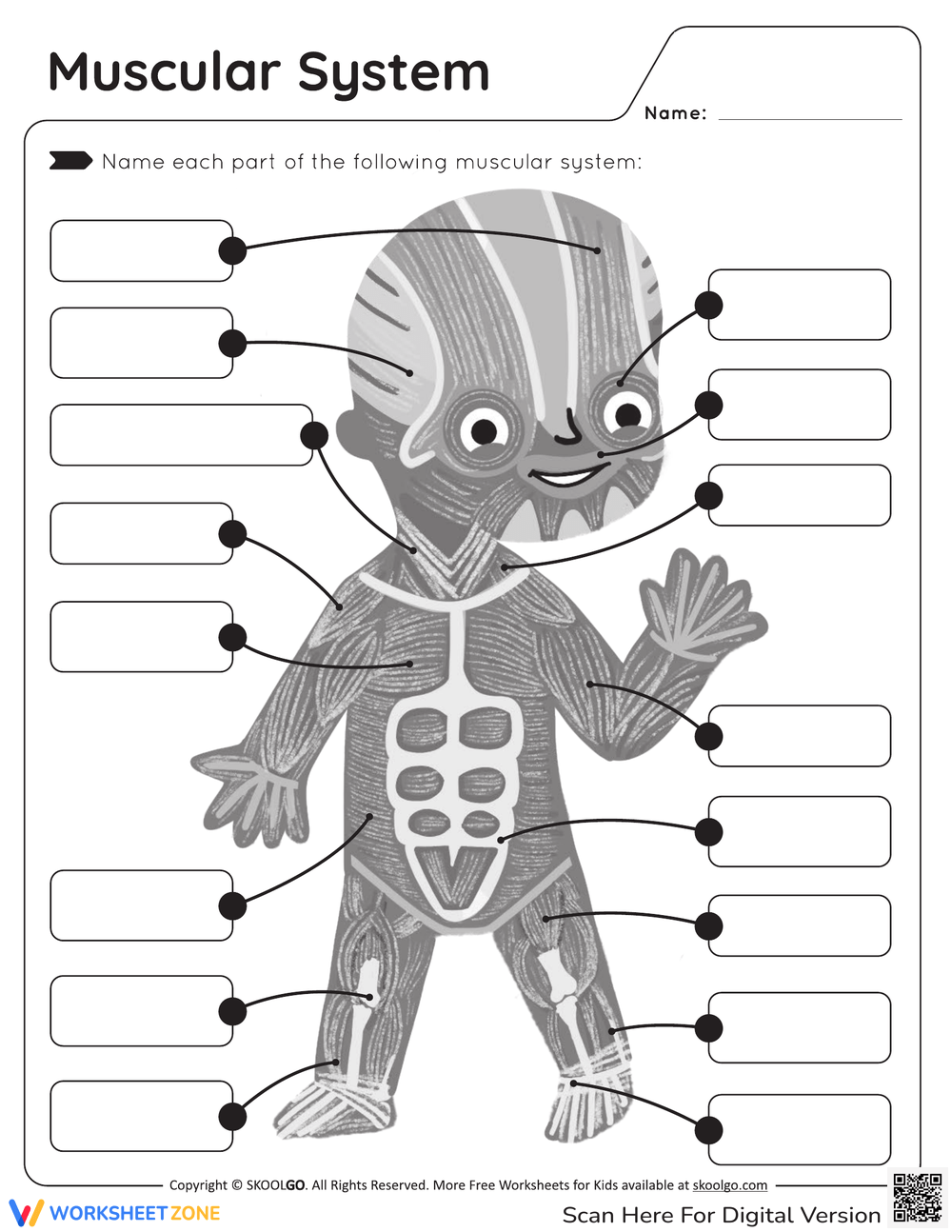 Printable 5th Grade Muscular System Worksheets