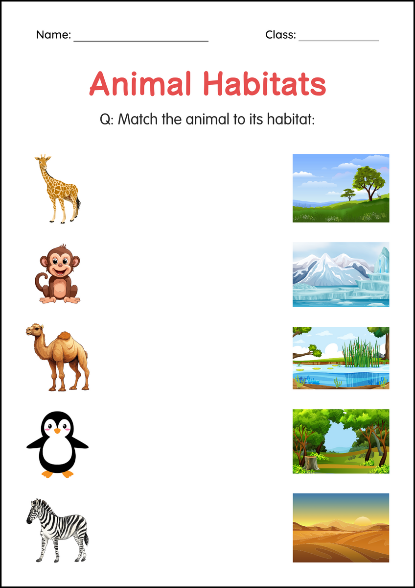 Printable Animal Habitats Worksheets Habitat Of Animals Activity For Grade 3 Made By Teachers Printable Animal Habitats Worksheets Habitat Of Animals Activity For Grade 3 Made By Teachers