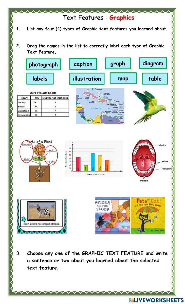 Text Features Graphics Worksheet Worksheets Library