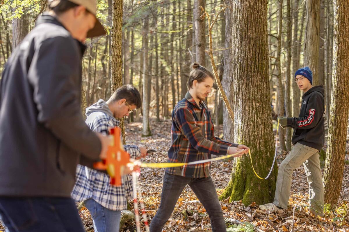 Wildlife Forest Conservation B S Vermont State University The Telephone Gap Integrated Resource Project Paves The Way For Innovative Ecological Forestry On The Green Mountain National Forest In Vermont Vermont Natural Resources Council